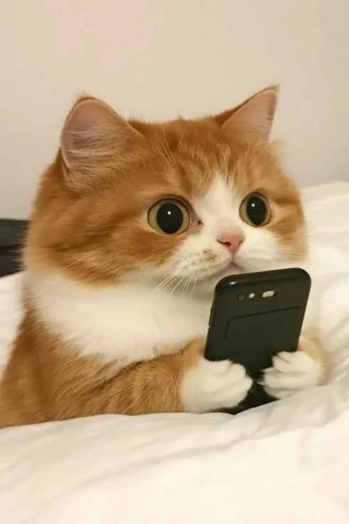 Can't open
